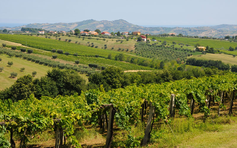 ITINERARI D'ABRUZZO, TRA FEDE E SAPORI